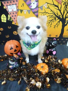 ここまで　10.10