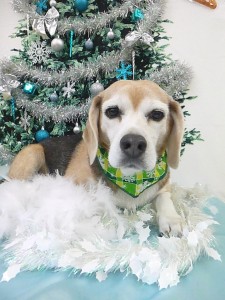 P1370252