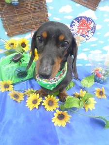 ここまで　ok (10)