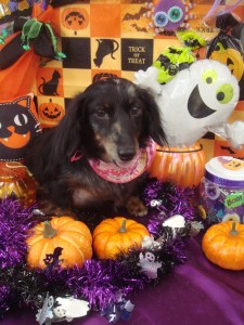 %e3%81%93%e3%81%93%e3%81%be%e3%81%a7ok-50