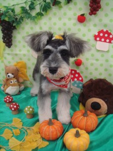 %e3%81%93%e3%81%93%e3%81%be%e3%81%a7%e3%80%80%e3%80%80ok