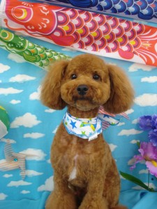 DSC02607