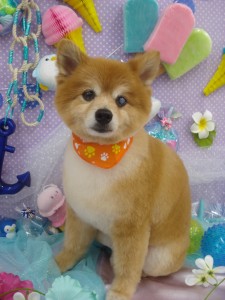DSC04098