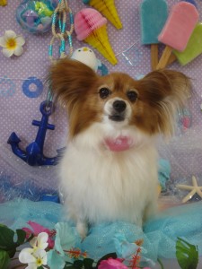 DSC04108