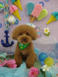 DSC04177