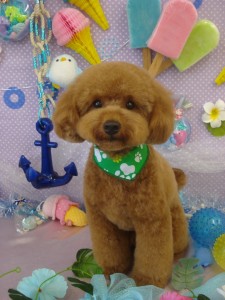 DSC04192