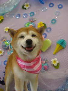 DSC04305