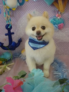 DSC04521
