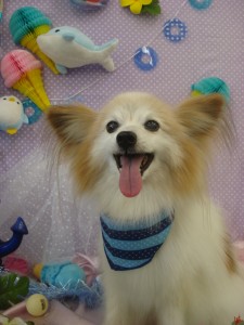 DSC04582