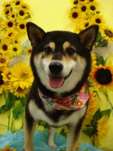 DSC05024