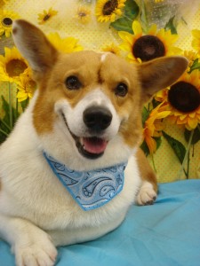 DSC05936