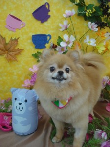 DSC06653