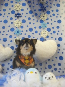 ここまでおっけ