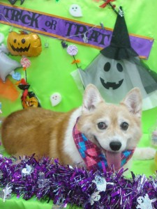 DSC07798