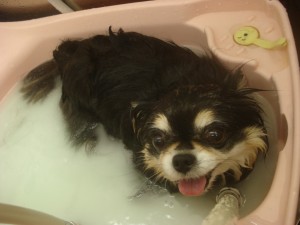 DSC08180