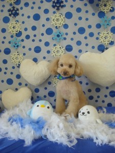 ここまでＯＫ (46)