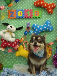 DSC09377
