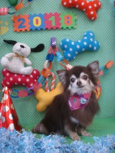 DSC09640