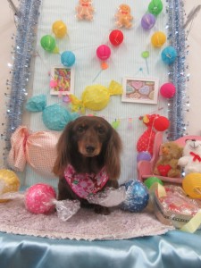 IMG_1609