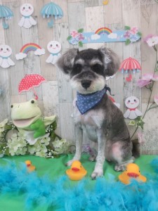 ここまでＯＫ (28)